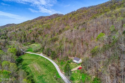 Tiny photo for 7300 Snake Hollow Road, Sneedville, TN 37869 (MLS # 9981321)