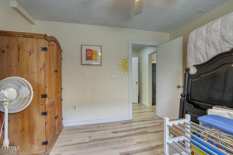 Tiny photo for 7300 Snake Hollow Road, Sneedville, TN 37869 (MLS # 9981321)