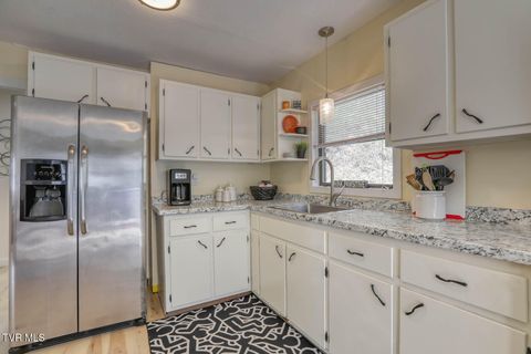 Tiny photo for 7300 Snake Hollow Road, Sneedville, TN 37869 (MLS # 9981321)