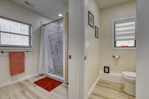 Tiny photo for 7300 Snake Hollow Road, Sneedville, TN 37869 (MLS # 9981321)