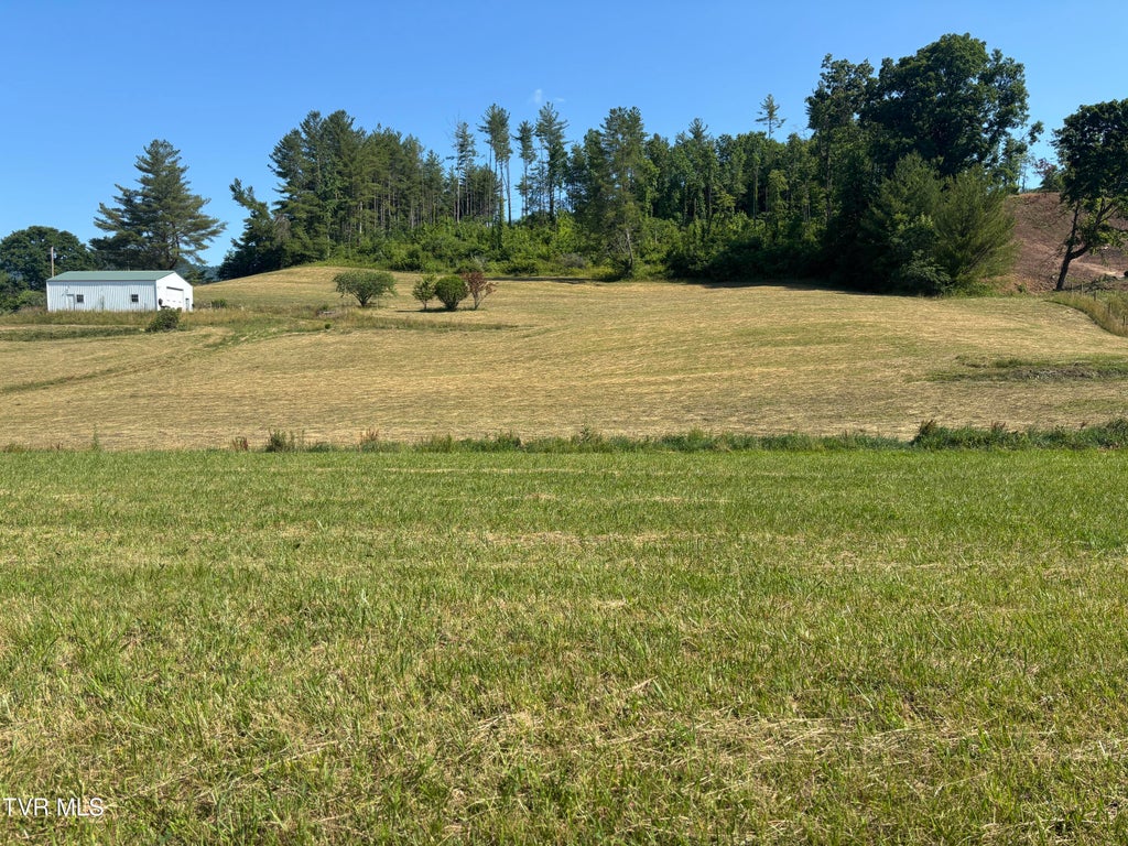 Photo of 2787 Pleasant Valley Road, Mountain City, TN 37683 (MLS # 10002313)