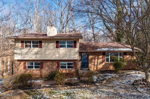 Photo of 108 Saratoga Circle, Elizabethton, TN 37643 (MLS # 9990638)