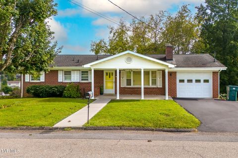 Tiny photo for 135 Montrose Drive, Bristol, VA 24201 (MLS # 9986286)