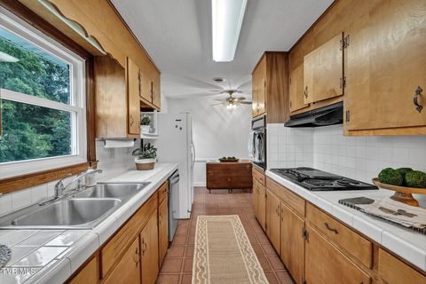 Tiny photo for 135 Montrose Drive, Bristol, VA 24201 (MLS # 9986286)