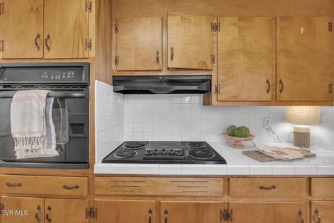 Tiny photo for 135 Montrose Drive, Bristol, VA 24201 (MLS # 9986286)