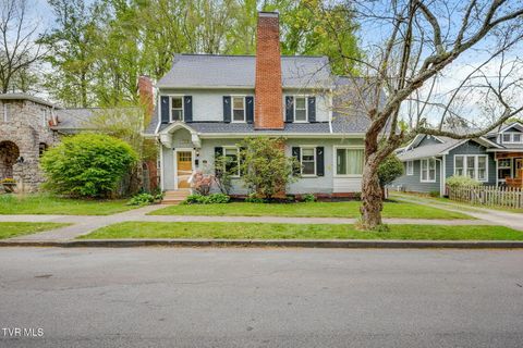 Photo of 116 Boyd Street, Johnson City, TN 37604 (MLS # 9993901)