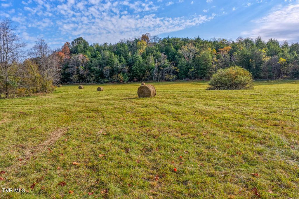 Photo of 000 Jones Cemetery Road, Rogersville, TN 37857 (MLS # 9987448)