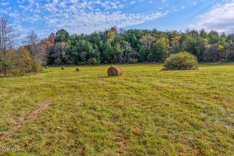 Vacant Land For Sale - 000 Jones Cemetery Road<br/> Rogersville, TN 37857