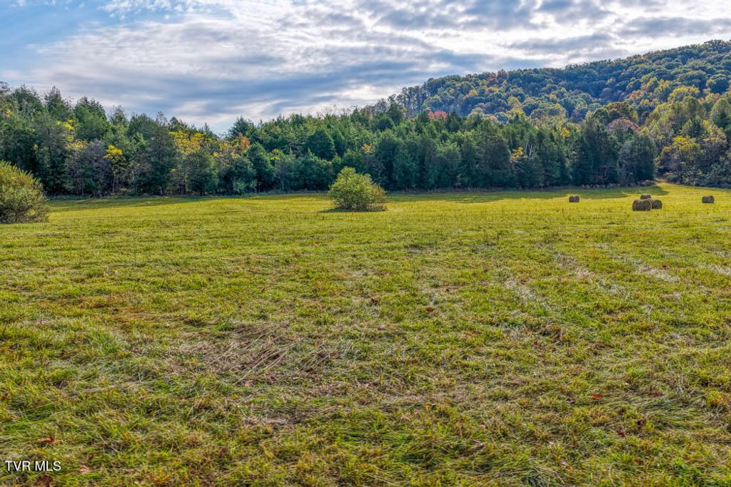 Photo of 000 Jones Cemetery Road, Rogersville, TN 37857 (MLS # 9987448)