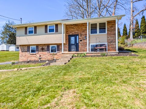 Photo of 464 Springfield Drive, Bristol, TN 37620 (MLS # 9992951)