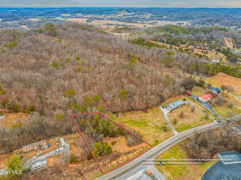 Vacant Land For Sale - Highway 321<br/> Newport, TN 37821
