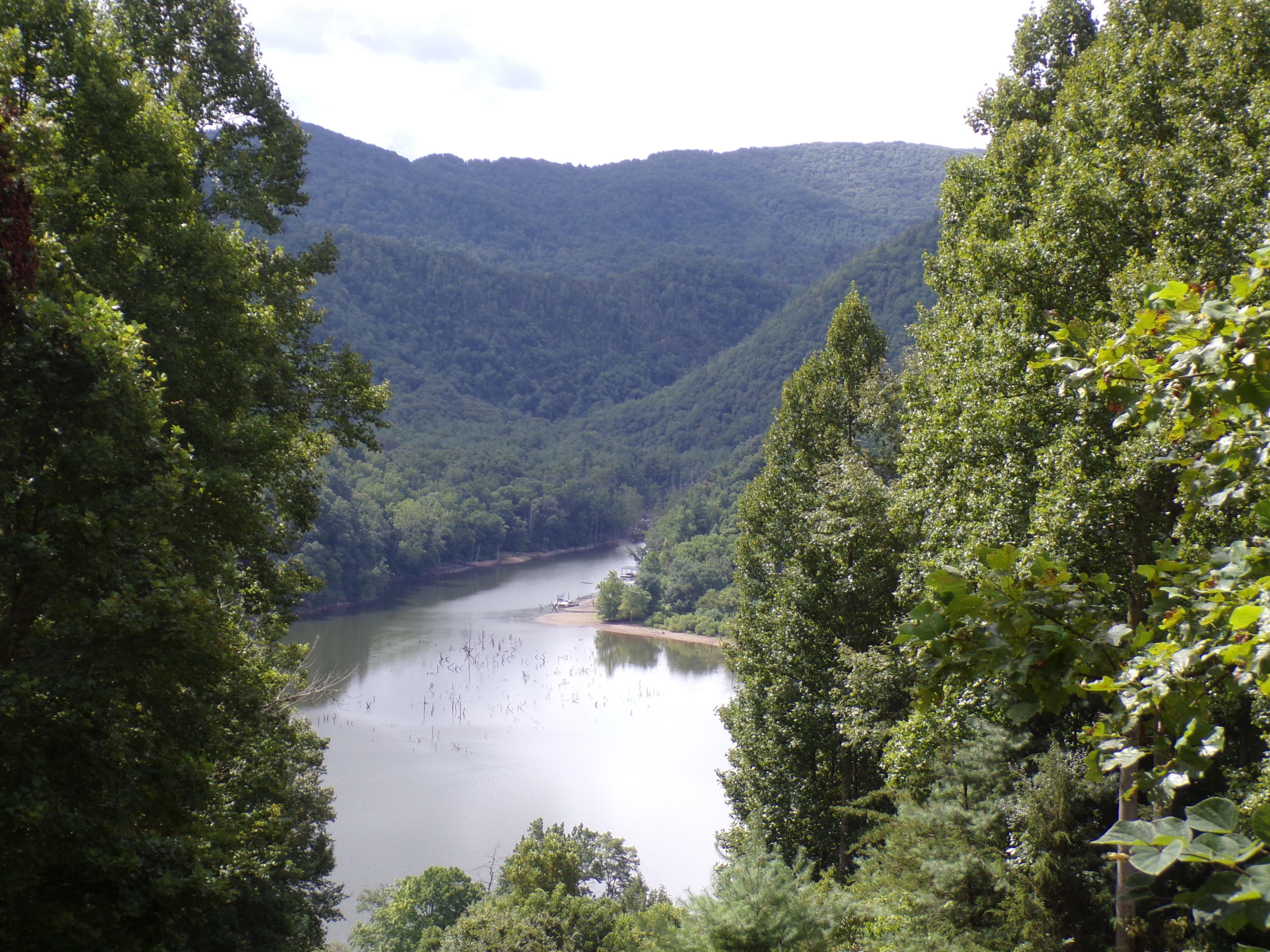 Lot 10 Lake Ridge Subdivision, Butler, Tennessee image 6