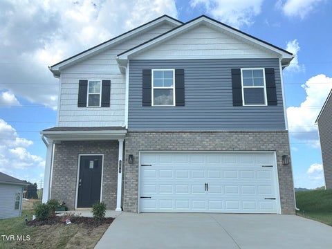 Homes For Sale - 308 Chimney View Loop Loop<br/> Blountville, TN 37617