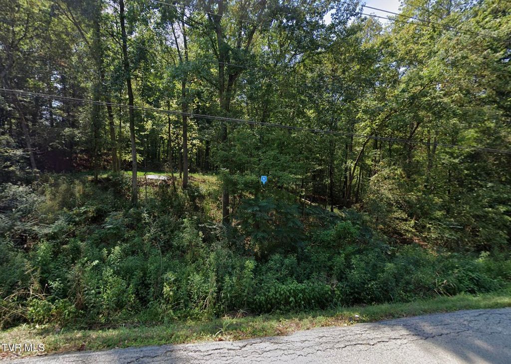 Photo of 1720 Zinc Plant Road, Clarksville, TN 37040 (MLS # 9988066)