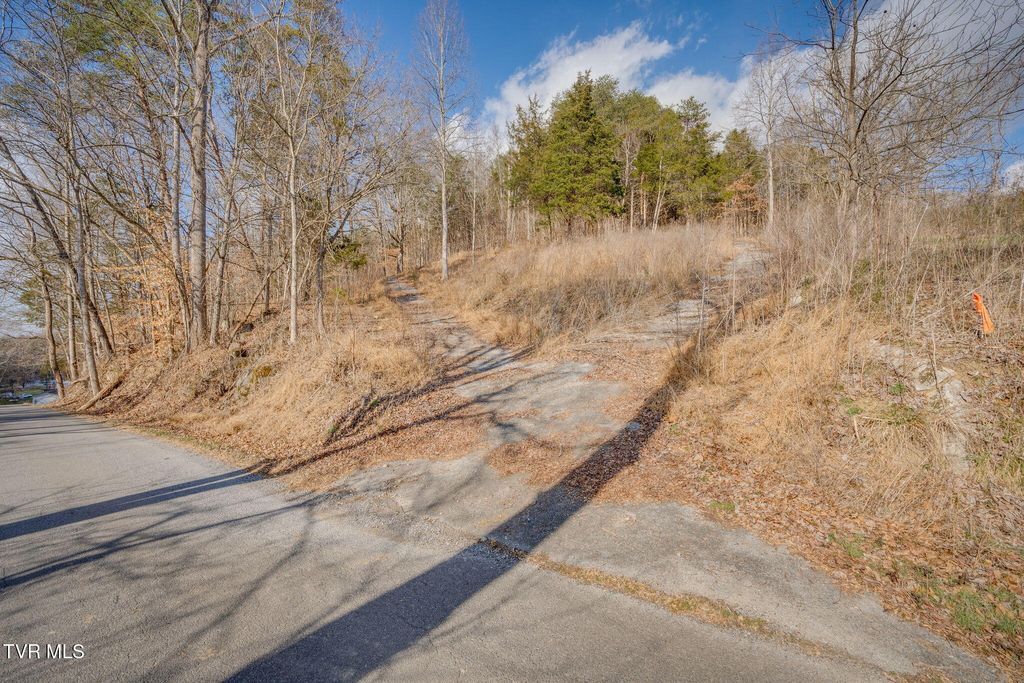 Photo of Tbd Whitehouse Road, Greeneville, TN 37745 (MLS # 9990498)