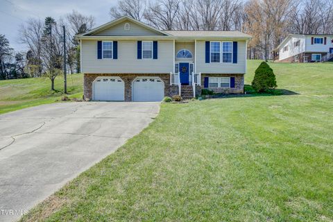 Photo of 317 Tipton Street, Church Hill, TN 37642 (MLS # 9993289)