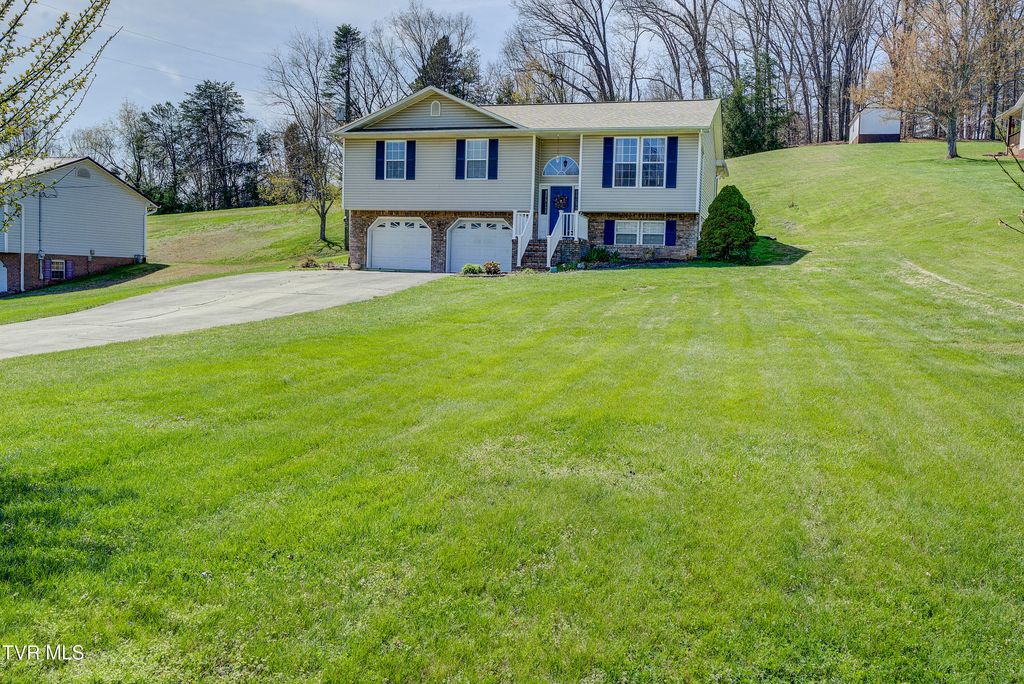 Photo of 317 Tipton Street, Church Hill, TN 37642 (MLS # 9993289)