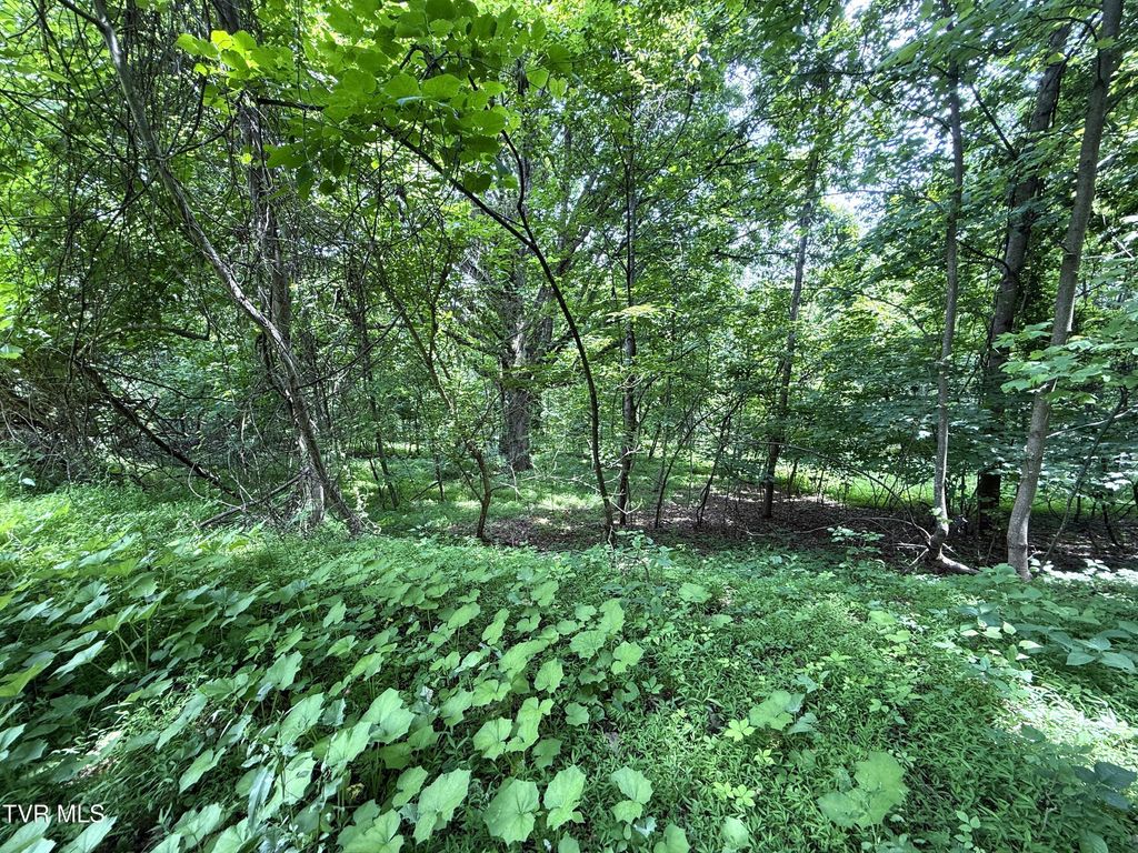 Photo of 574 Bailey Cemetery Road, Tazewell, TN 37879 (MLS # 9981352)