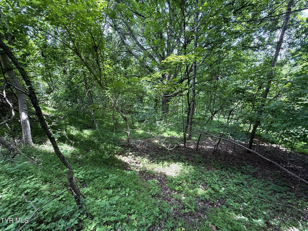 Photo of 574 Bailey Cemetery Road, Tazewell, TN 37879 (MLS # 9981352)