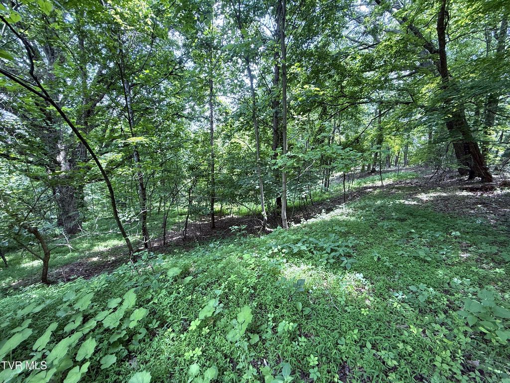 Photo of 574 Bailey Cemetery Road, Tazewell, TN 37879 (MLS # 9981352)