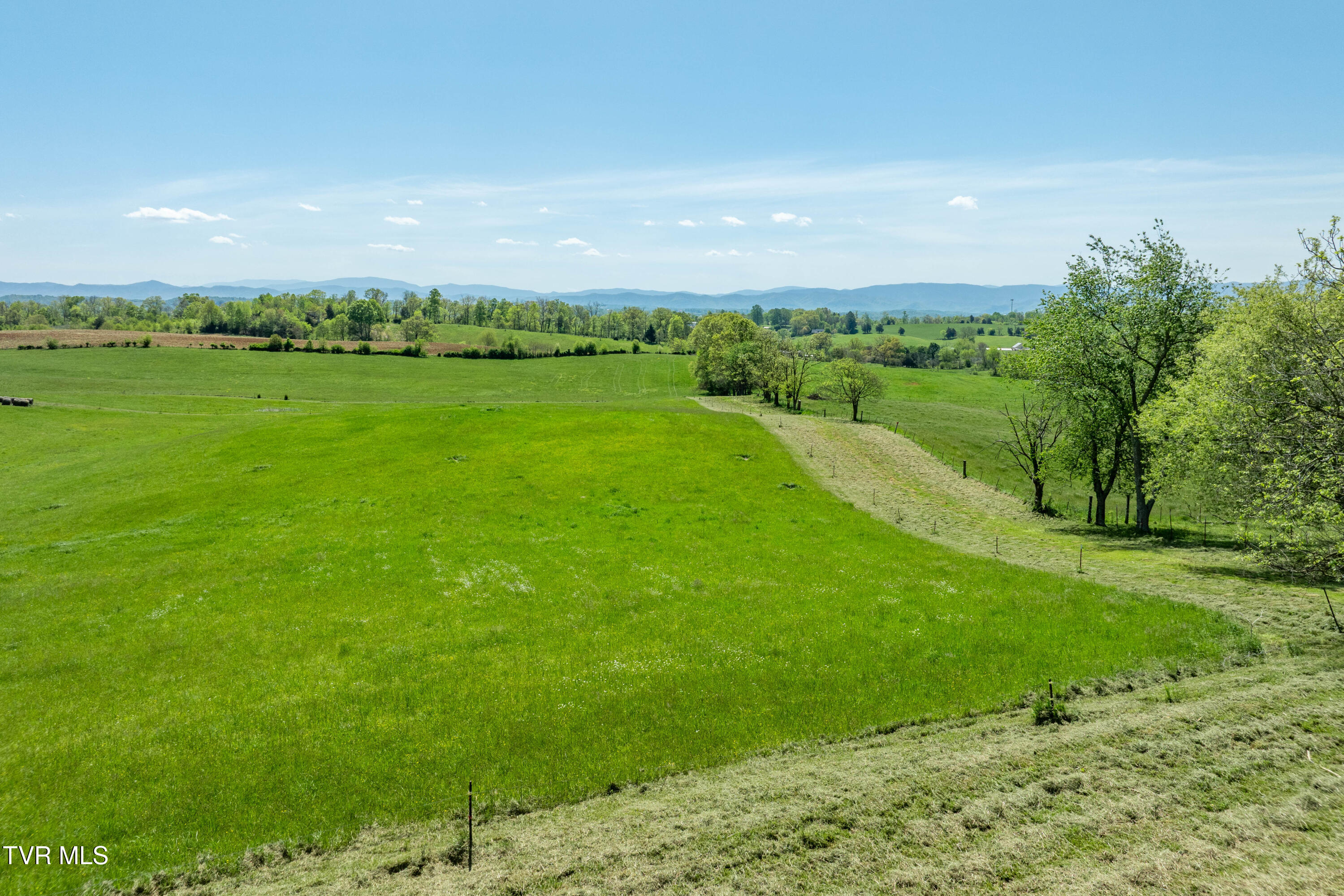 Tract 17 Saylor Hill Road, Limestone, Tennessee image 15
