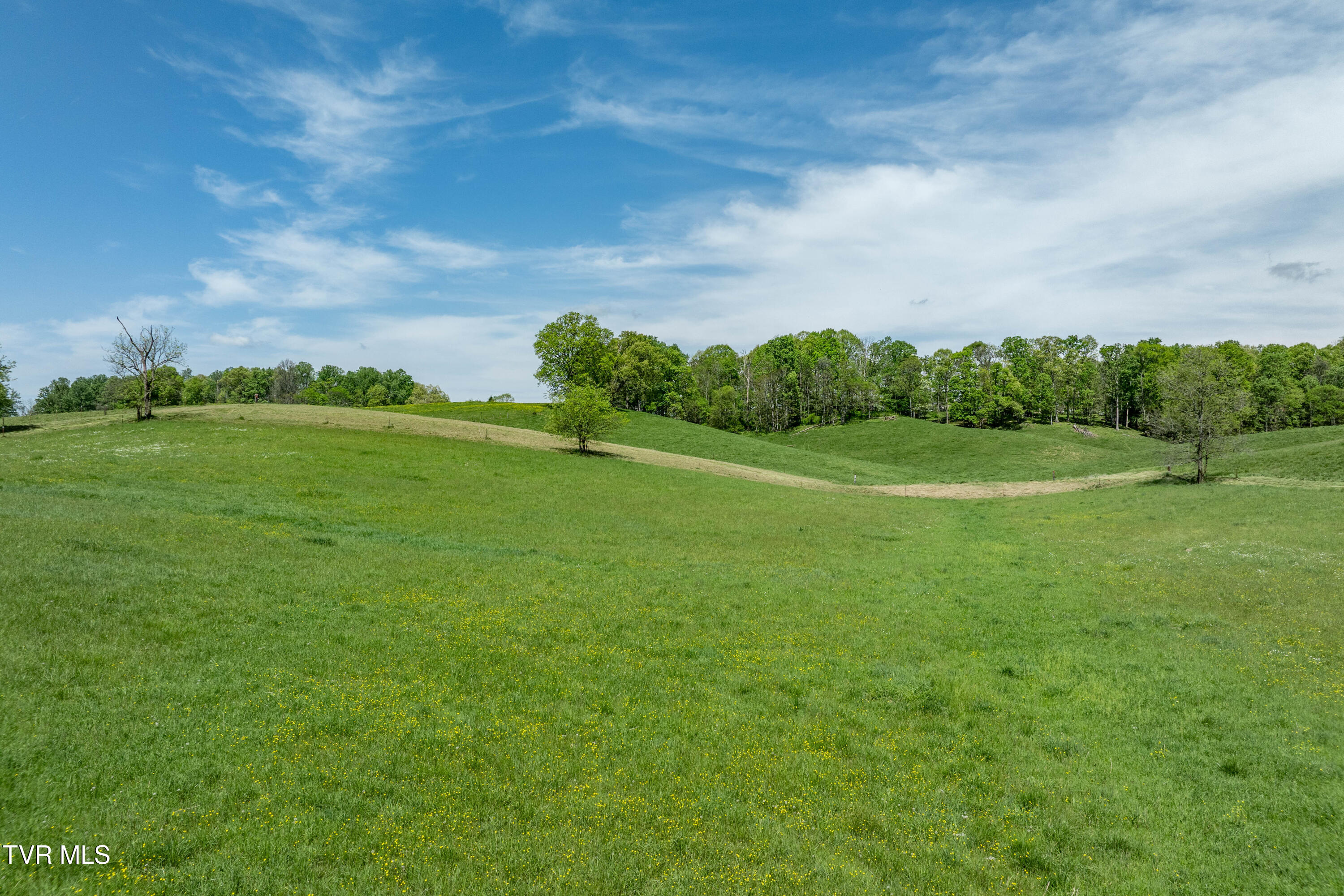 Tract 17 Saylor Hill Road, Limestone, Tennessee image 21