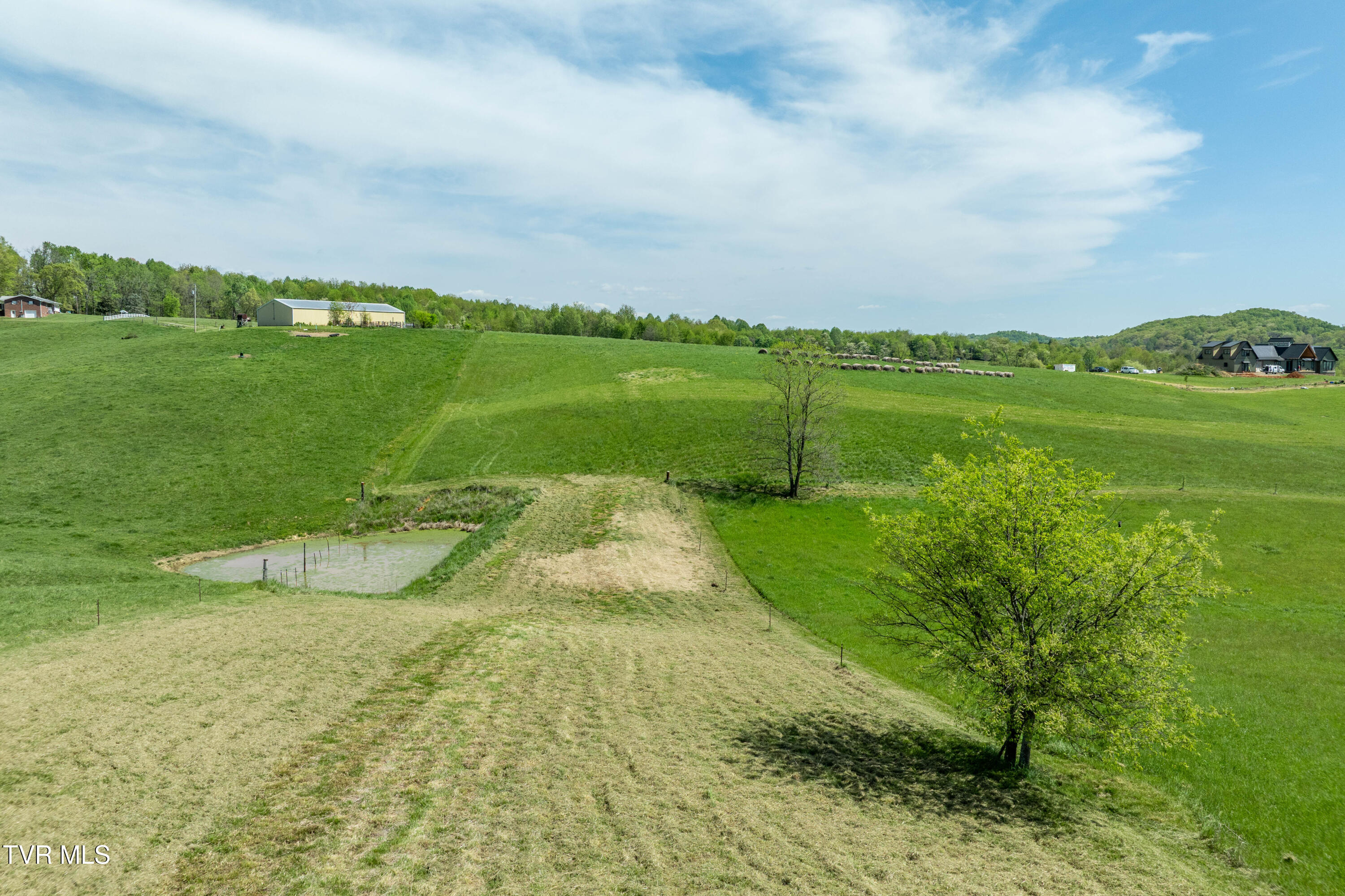 Tract 17 Saylor Hill Road, Limestone, Tennessee image 16