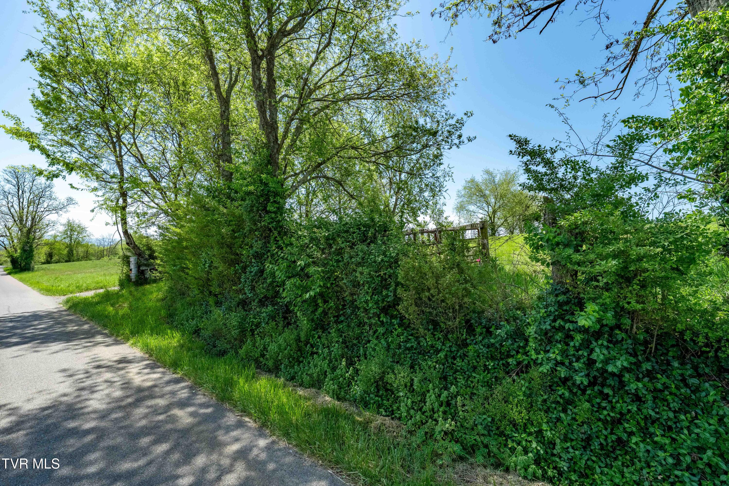 Tract 17 Saylor Hill Road, Limestone, Tennessee image 23