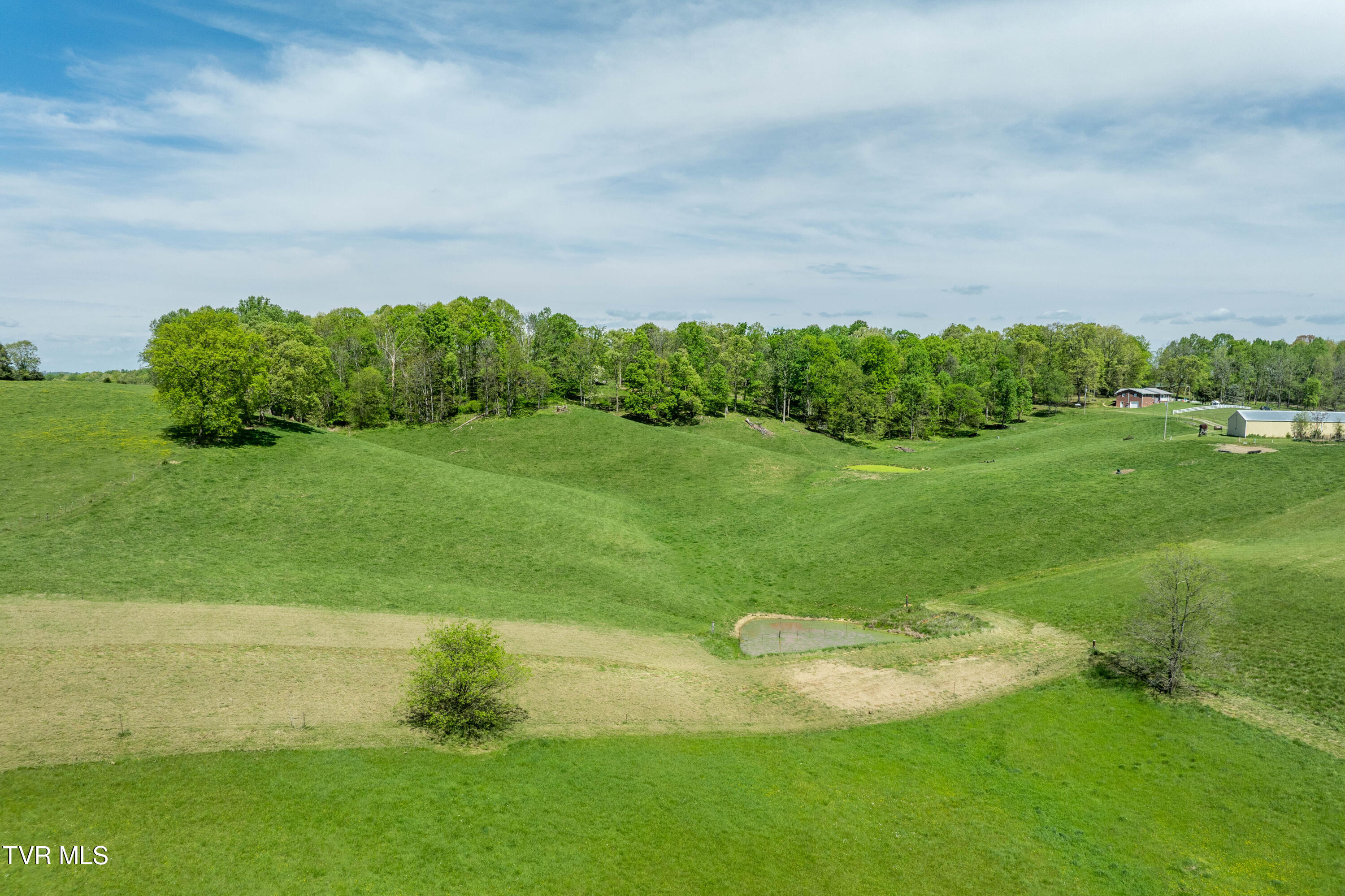Tract 17 Saylor Hill Road, Limestone, Tennessee image 12