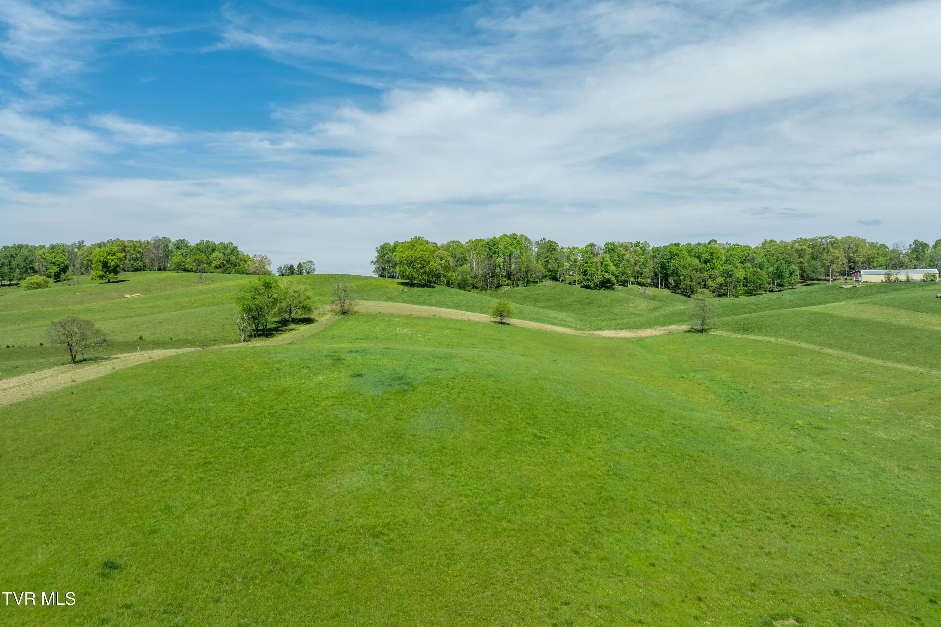 Tract 17 Saylor Hill Road, Limestone, Tennessee image 10
