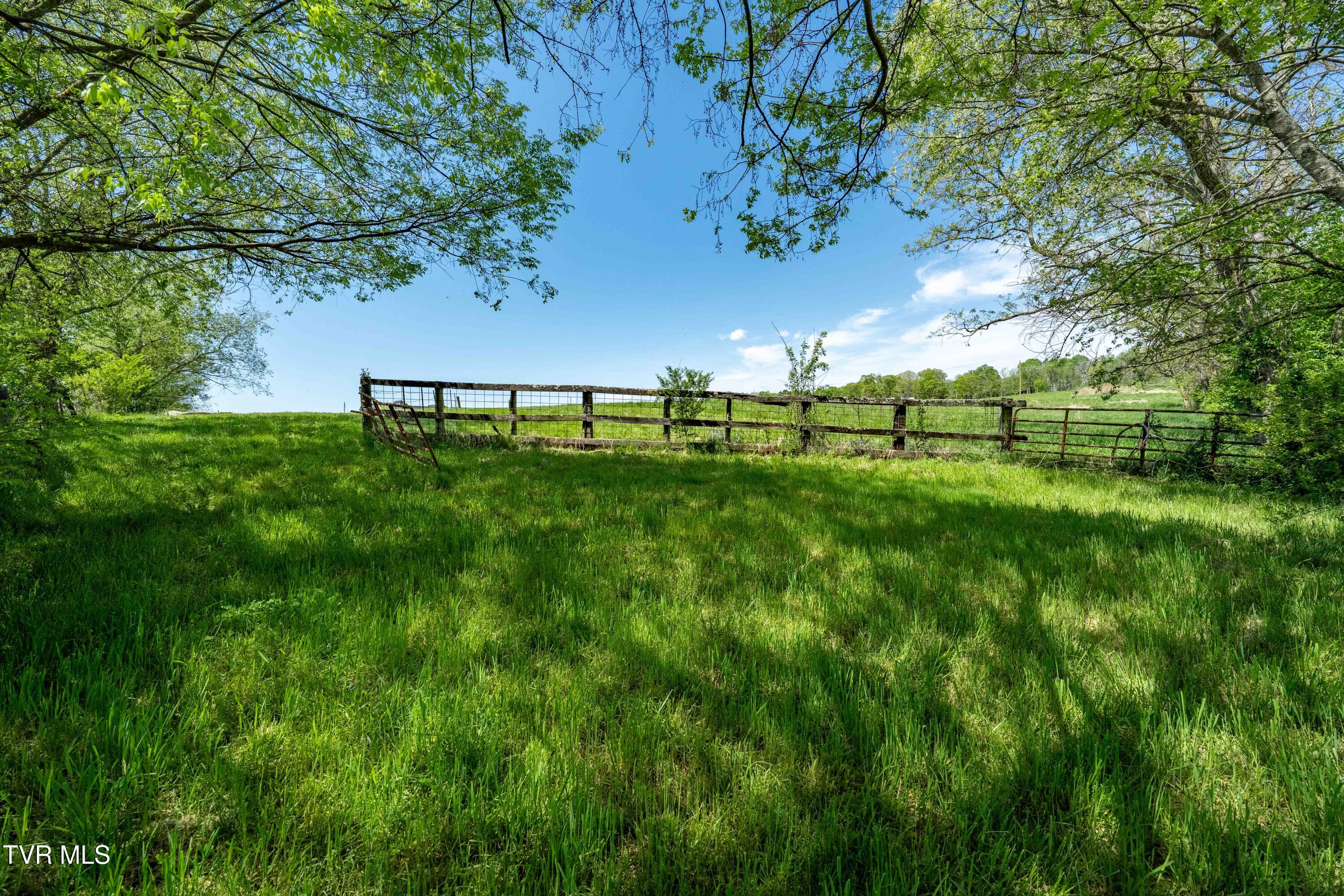Tract 17 Saylor Hill Road, Limestone, Tennessee image 24