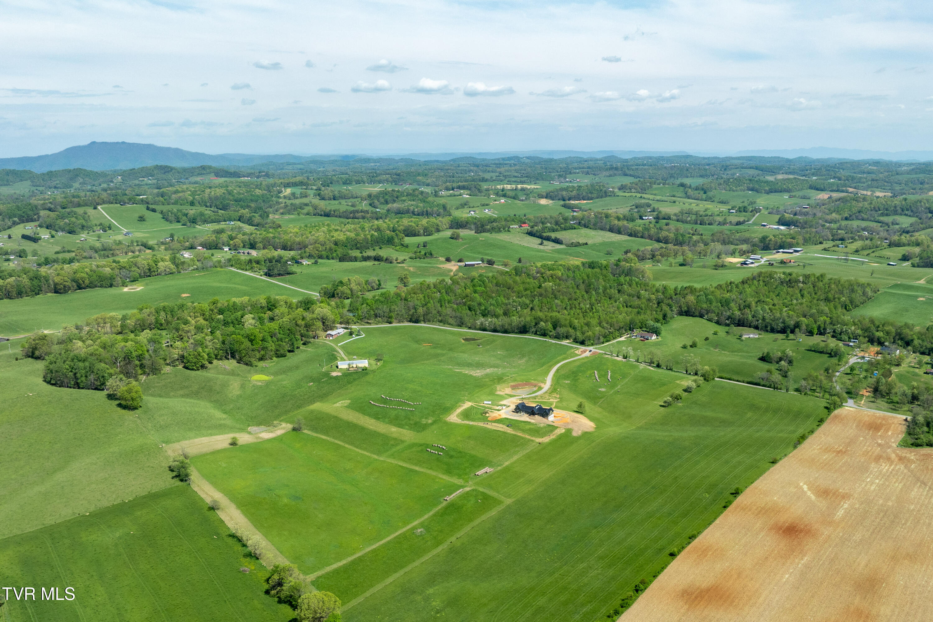 Tract 17 Saylor Hill Road, Limestone, Tennessee image 29