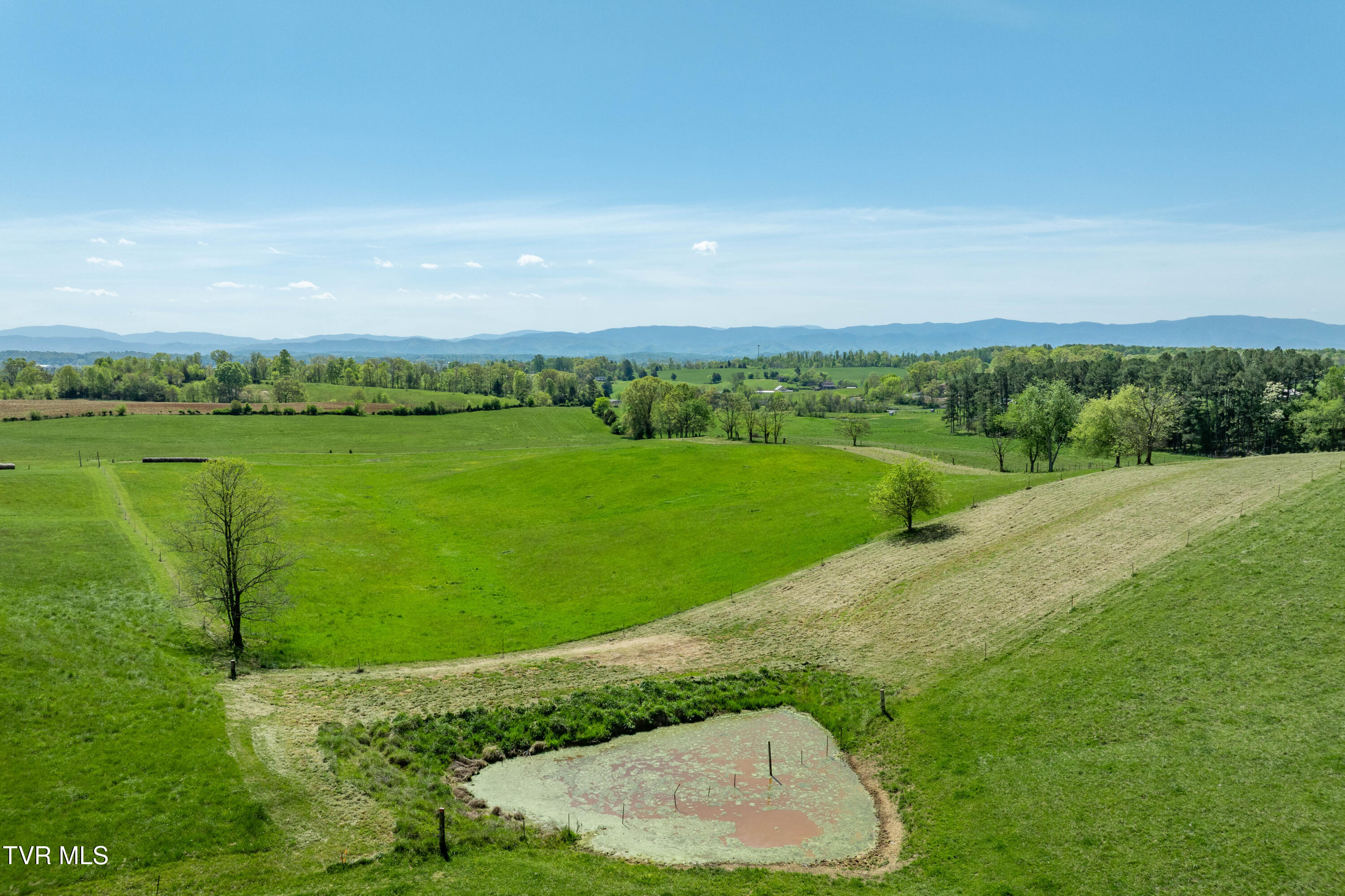Tract 17 Saylor Hill Road, Limestone, Tennessee image 13