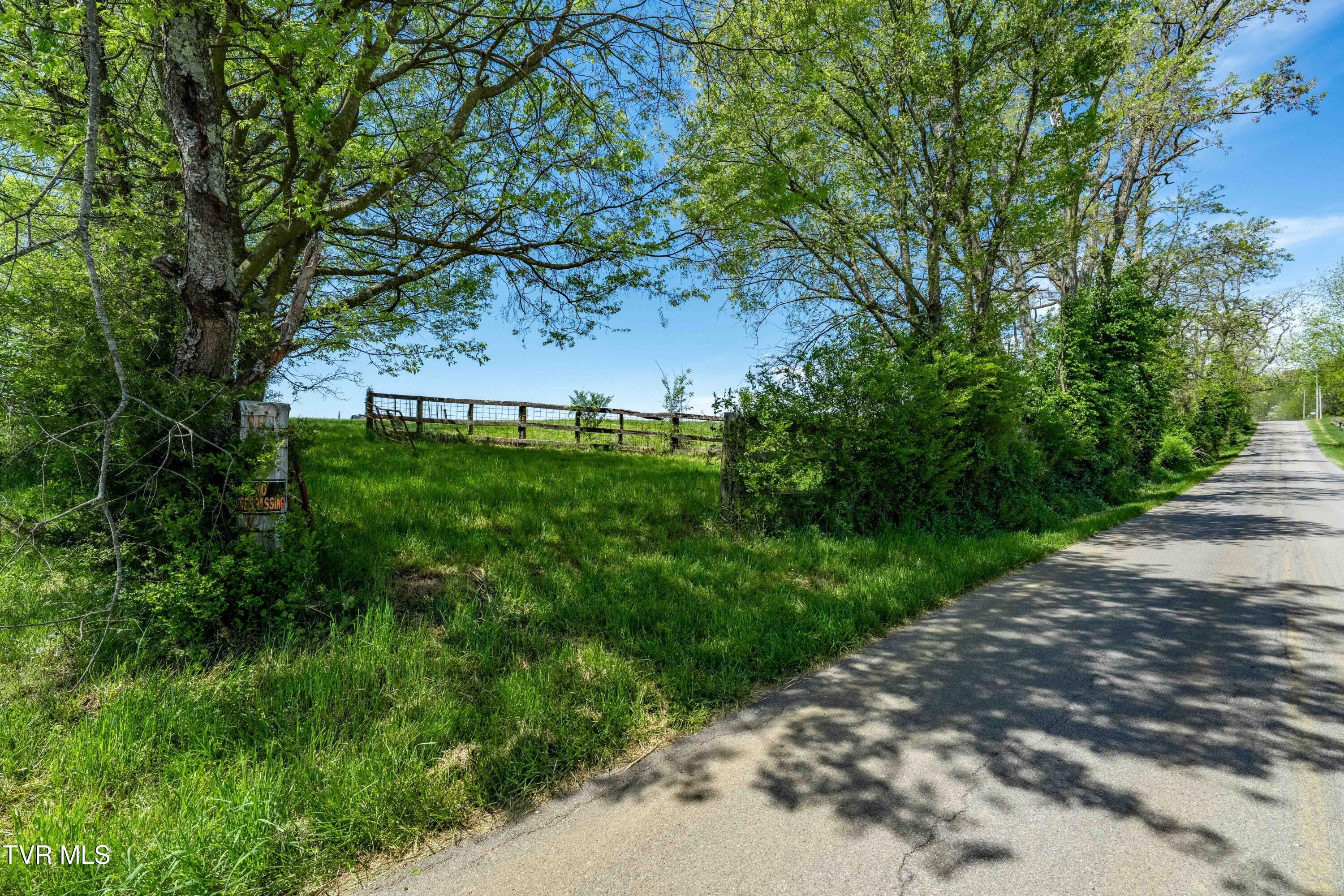 Tract 17 Saylor Hill Road, Limestone, Tennessee image 22