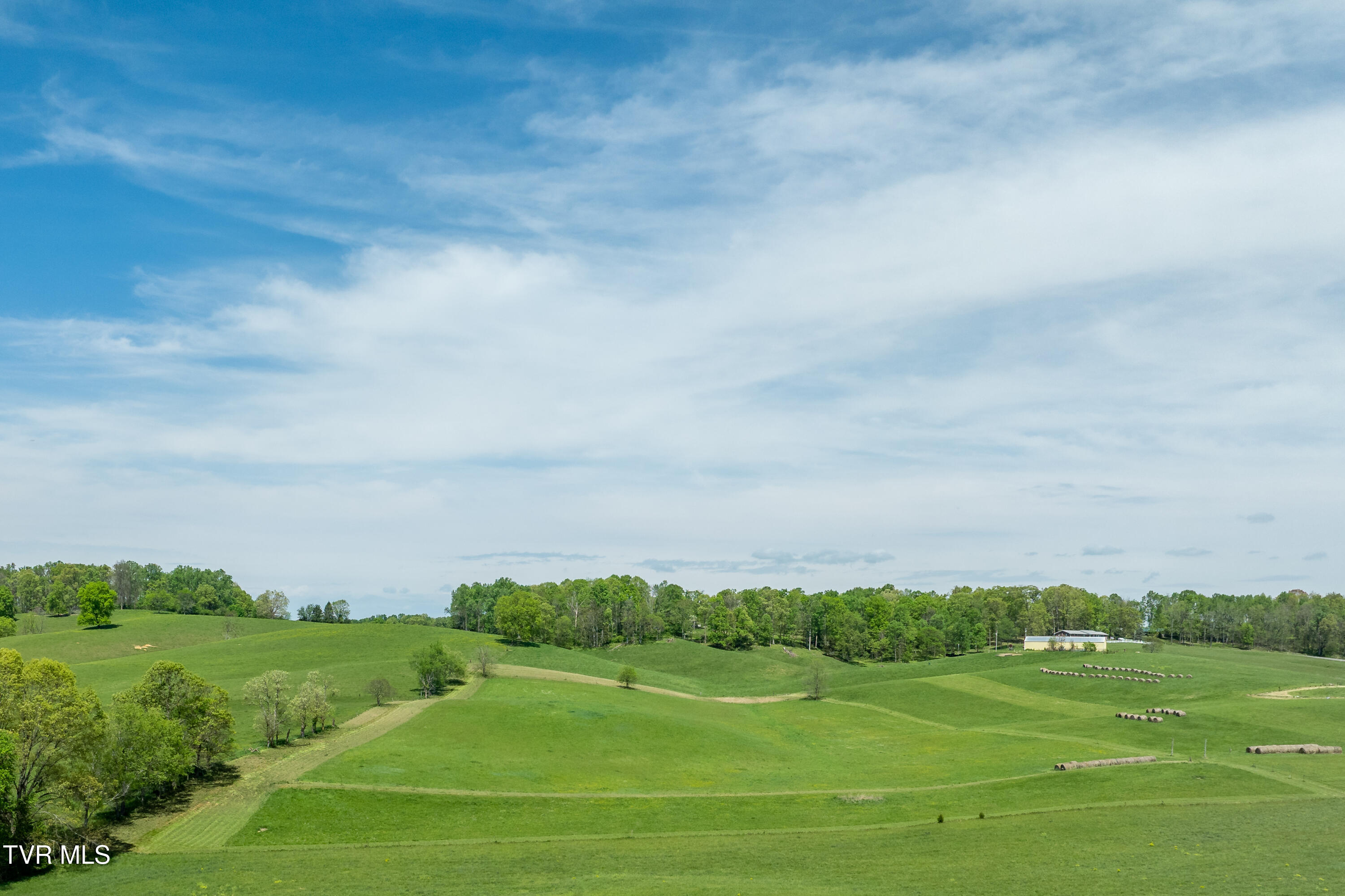Tract 17 Saylor Hill Road, Limestone, Tennessee image 9