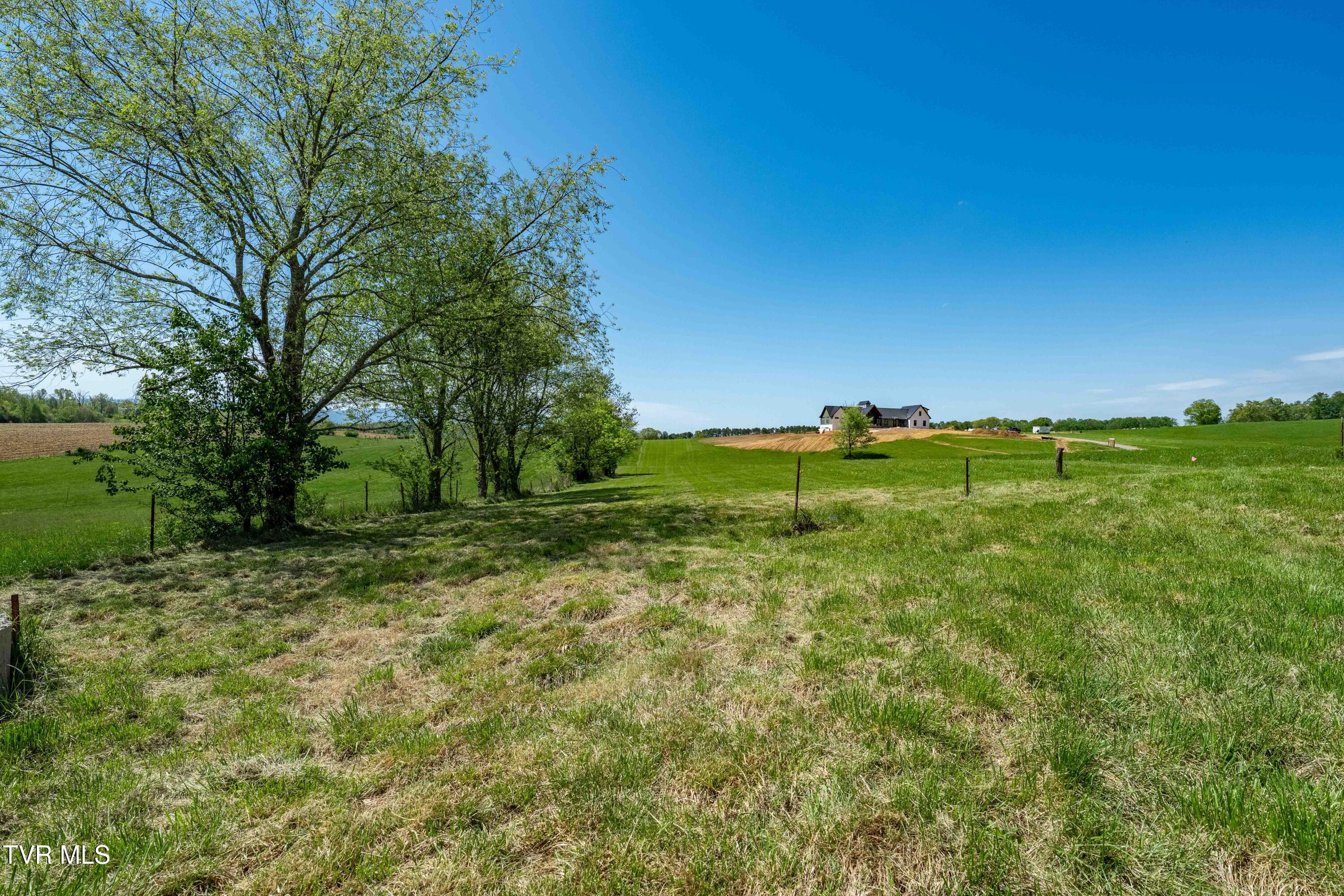 Tract 17 Saylor Hill Road, Limestone, Tennessee image 25