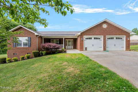 Photo of 507 Rayley Court, Greeneville, TN 37745 (MLS # 9995735)