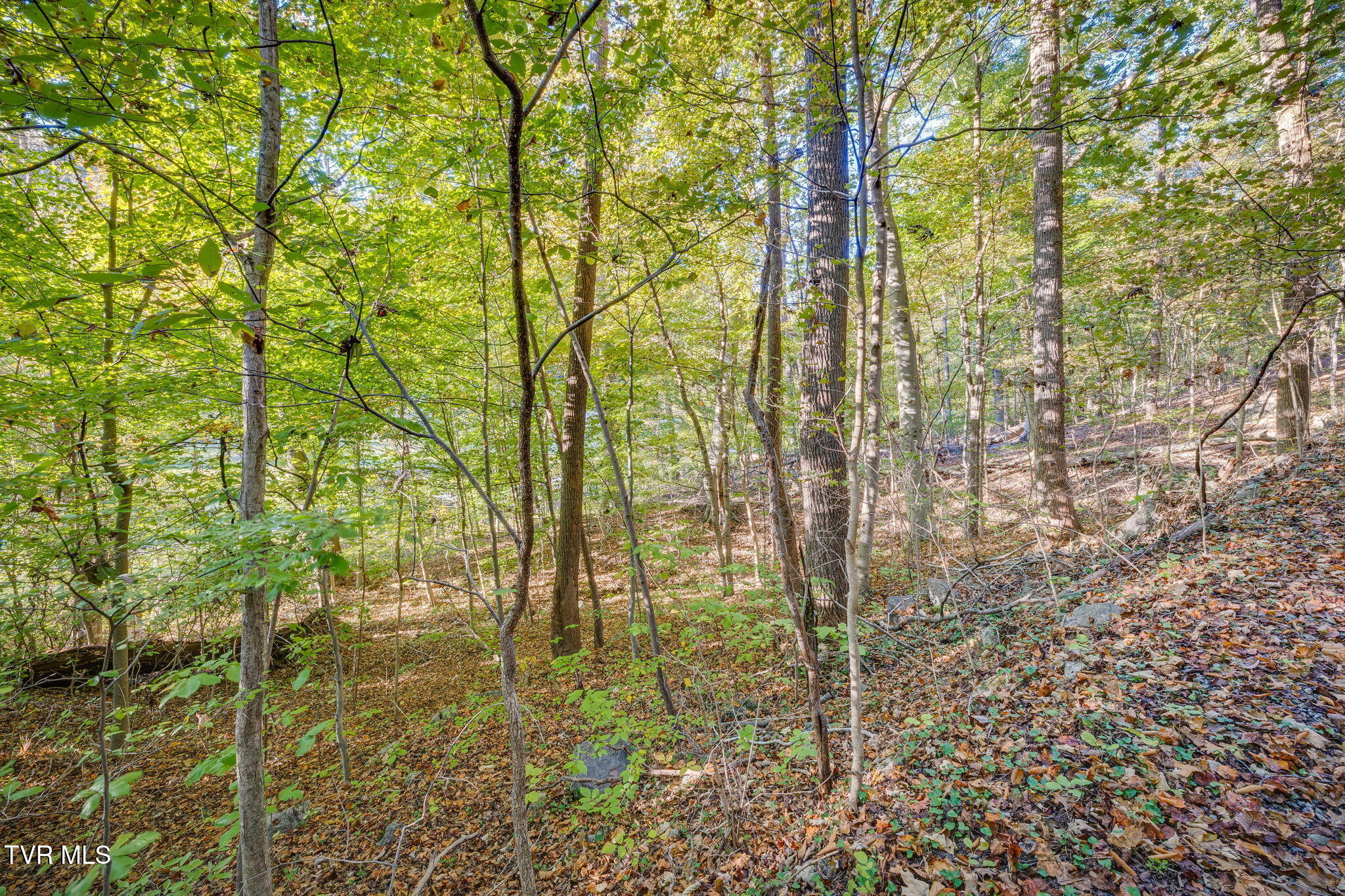 0 Floraland Drive