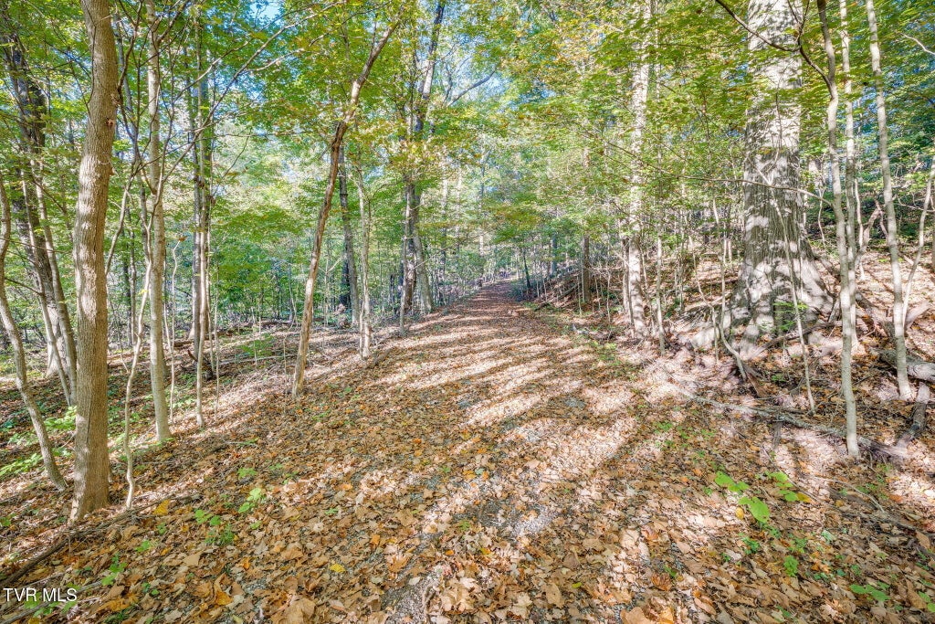 Photo of 0 Floraland Drive, Kingsport, TN 37664 (MLS # 10002492)