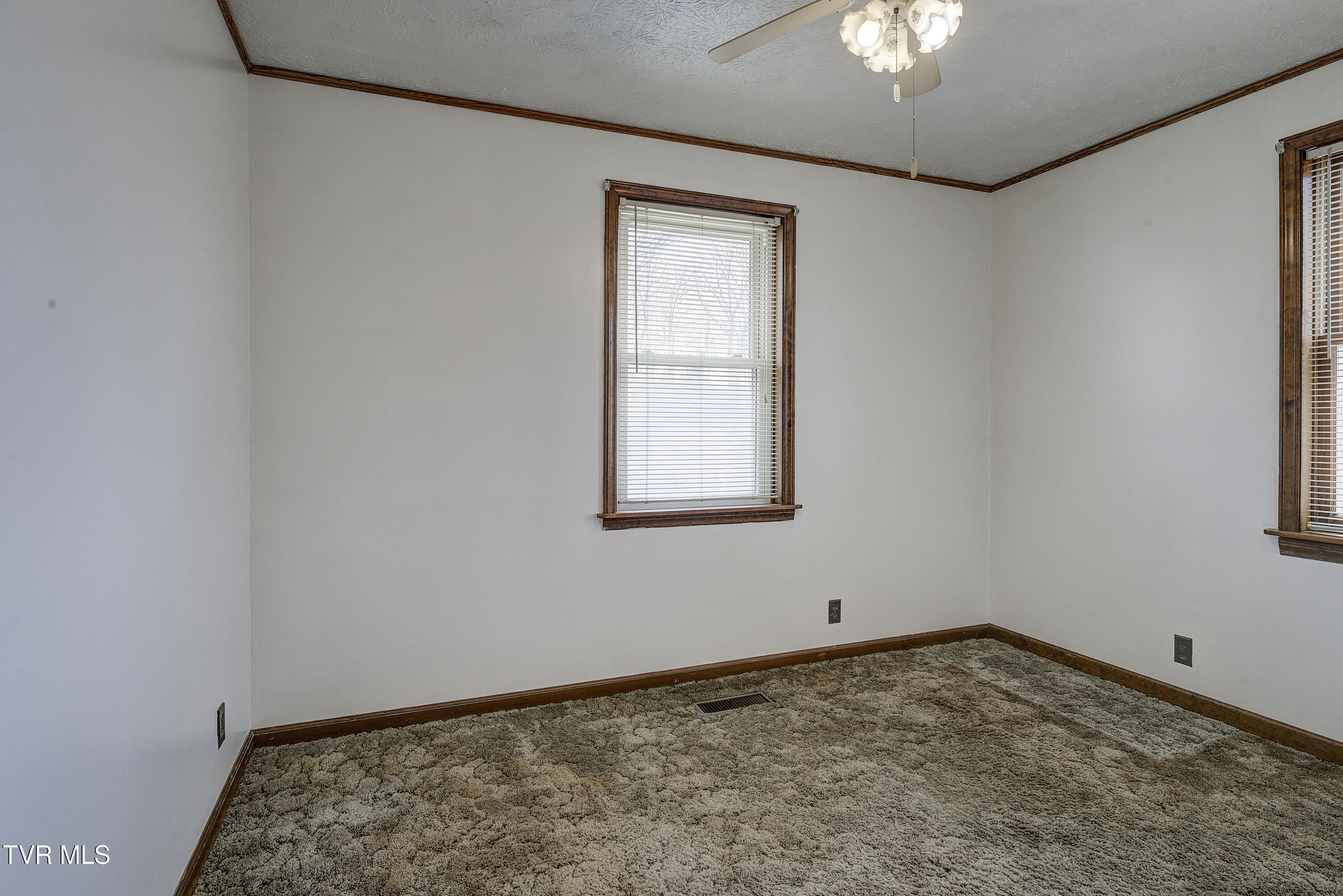 529 Hiwassee Street, Mount Carmel, Tennessee image 16