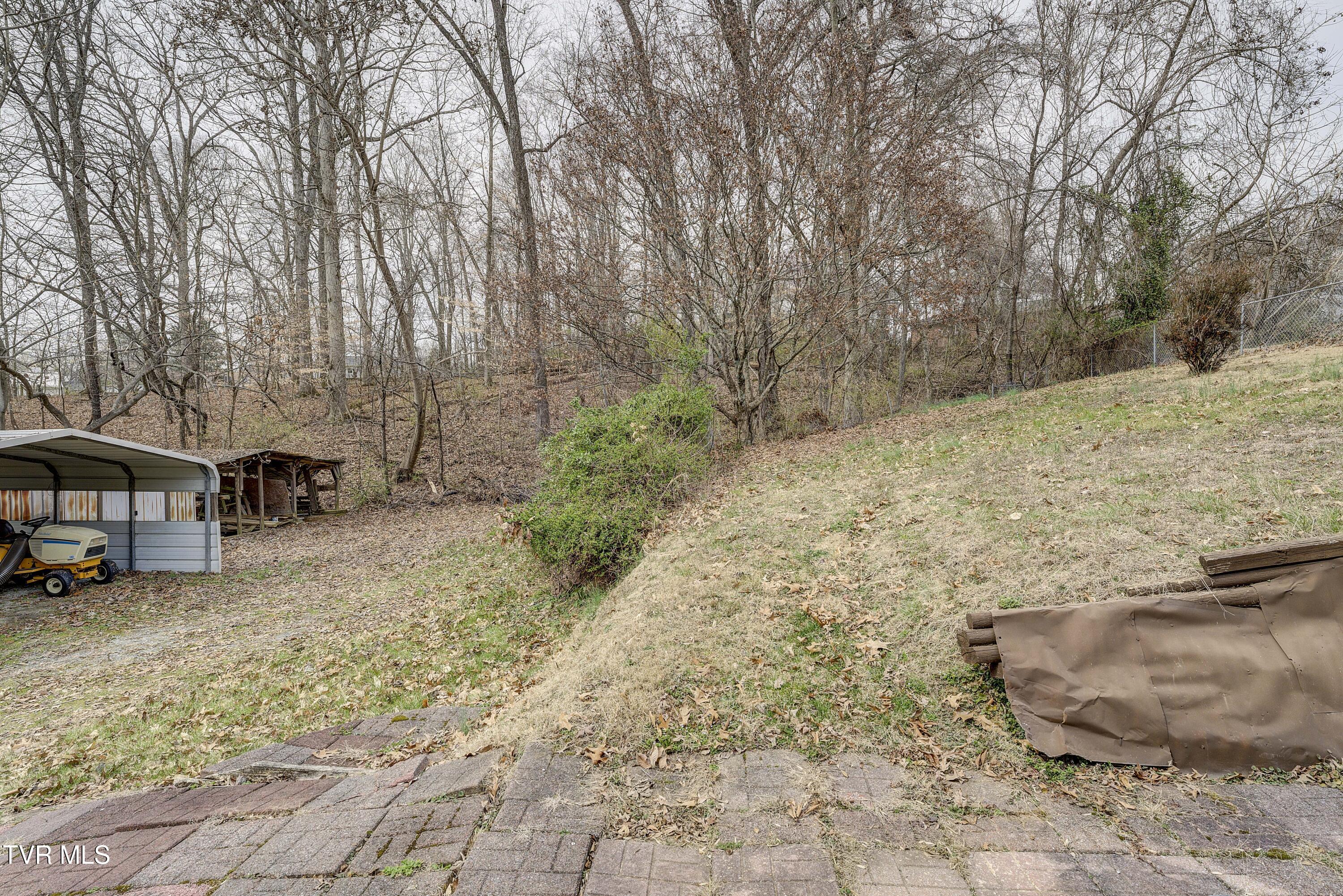 529 Hiwassee Street, Mount Carmel, Tennessee image 29