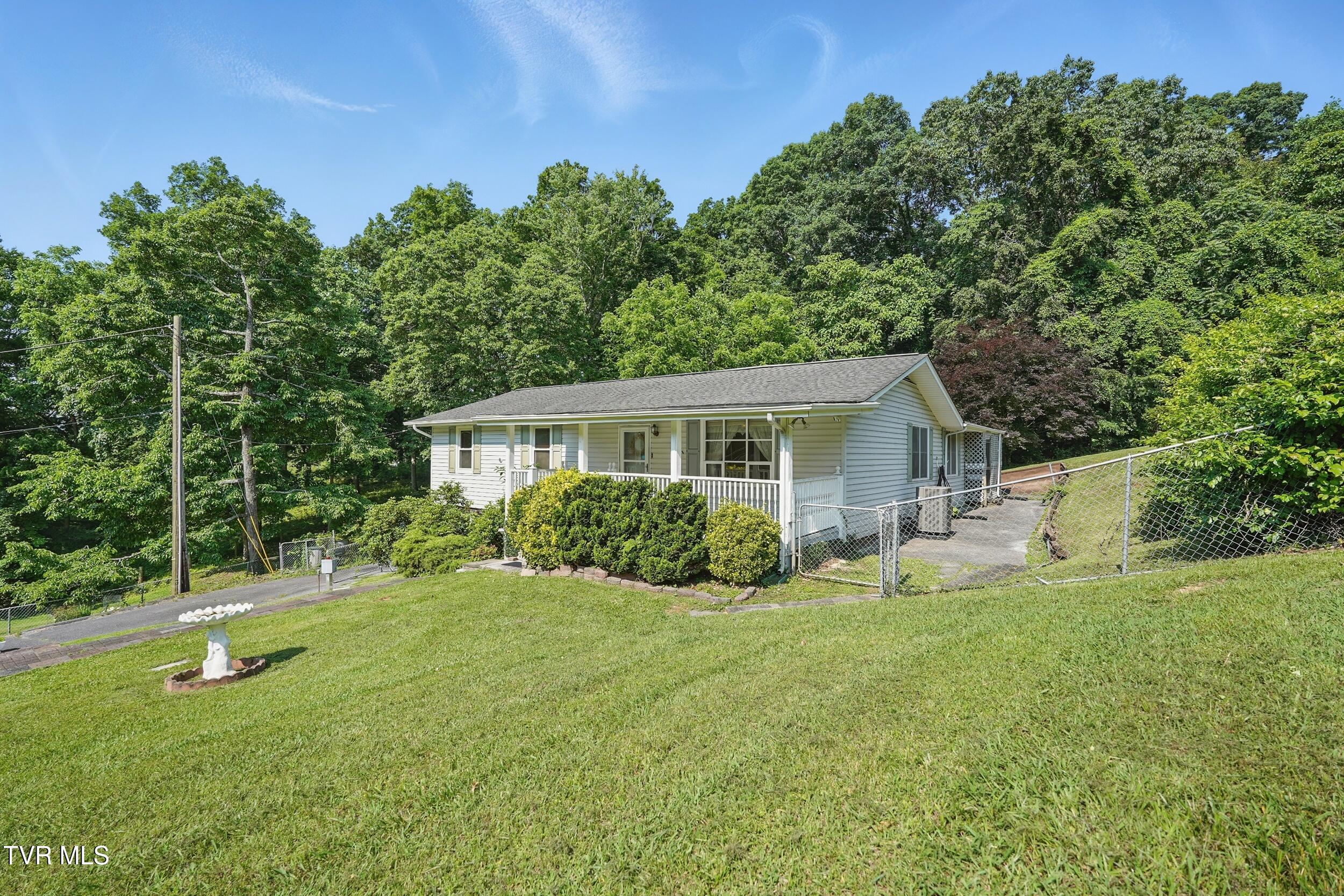 529 Hiwassee Street, Mount Carmel, Tennessee image 3