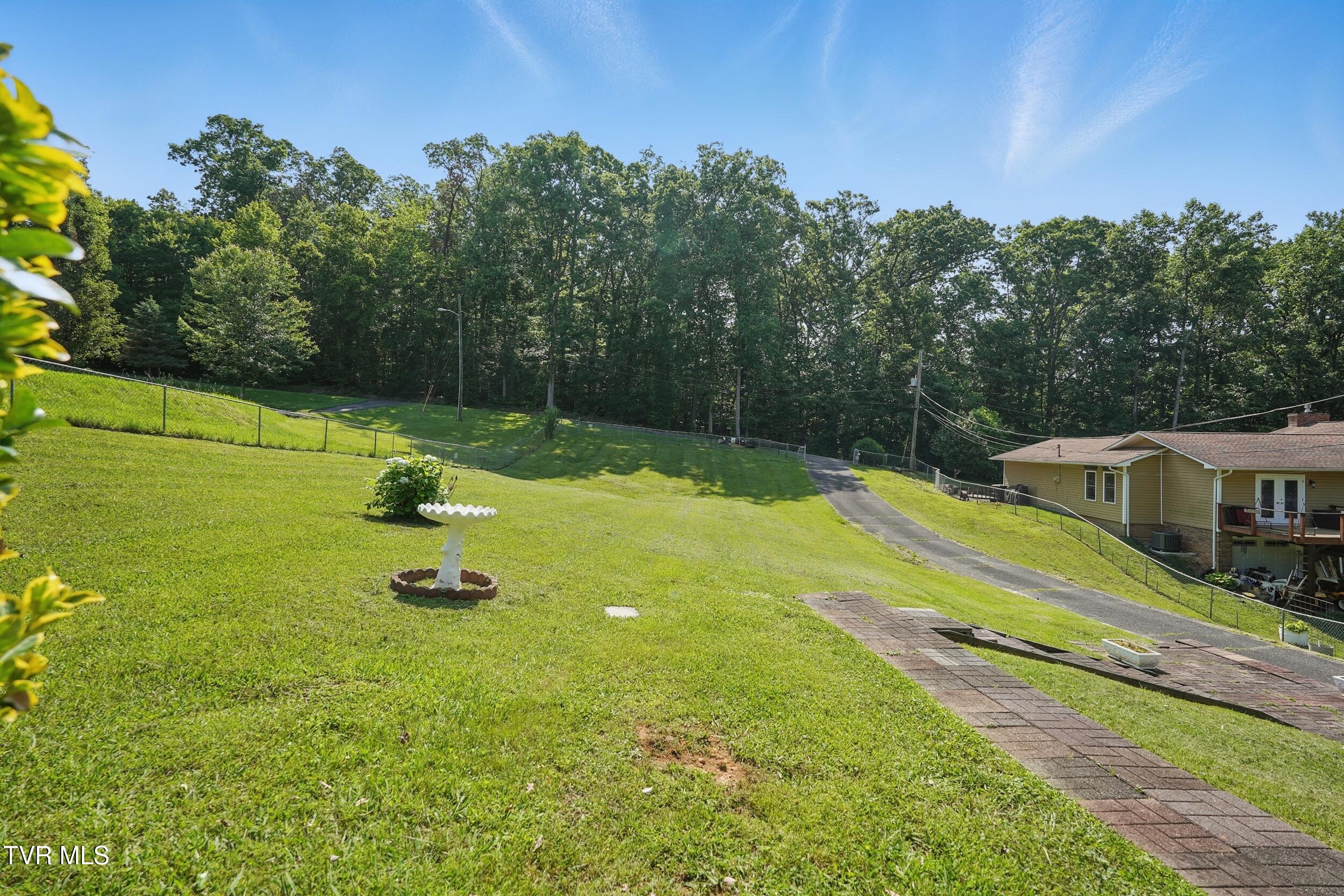 529 Hiwassee Street, Mount Carmel, Tennessee image 41