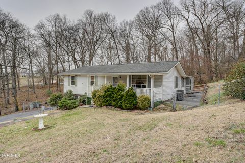529 Hiwassee Street, Mount Carmel, TN 37645 - MLS#: 9977644