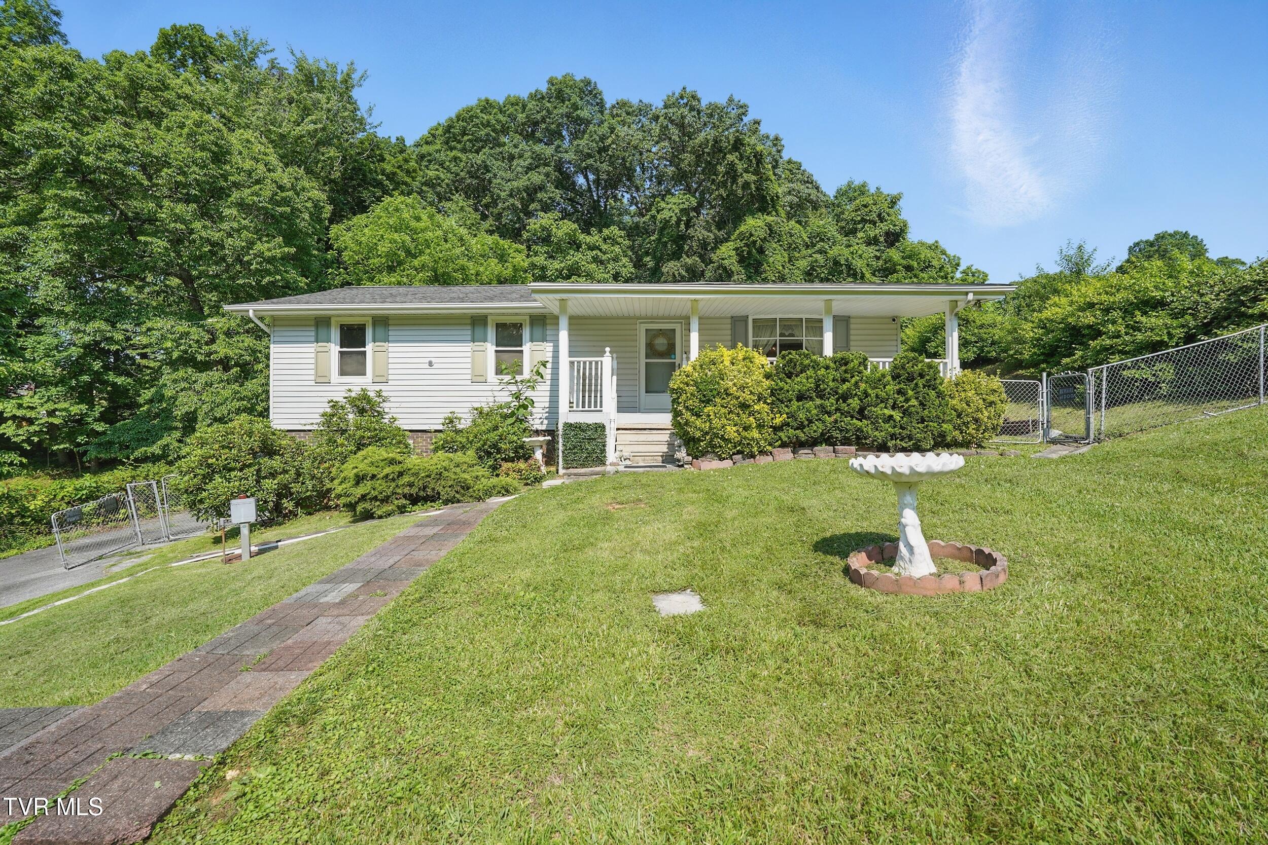 529 Hiwassee Street, Mount Carmel, Tennessee image 2