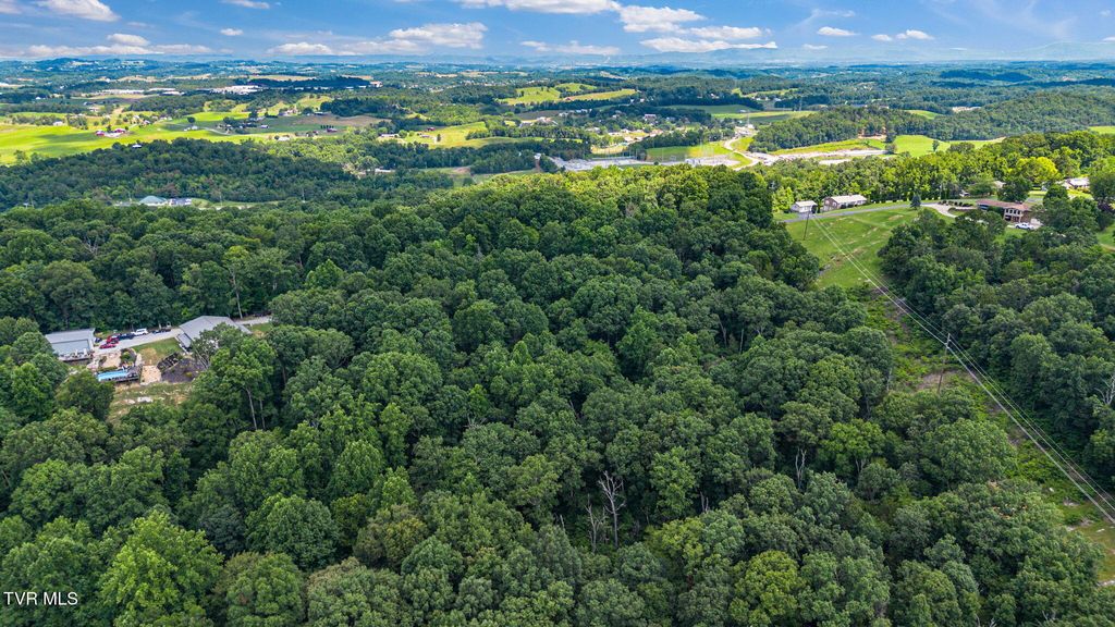 Photo of 293 Panoramic View Drive, Greeneville, TN 37743 (MLS # 9982786)