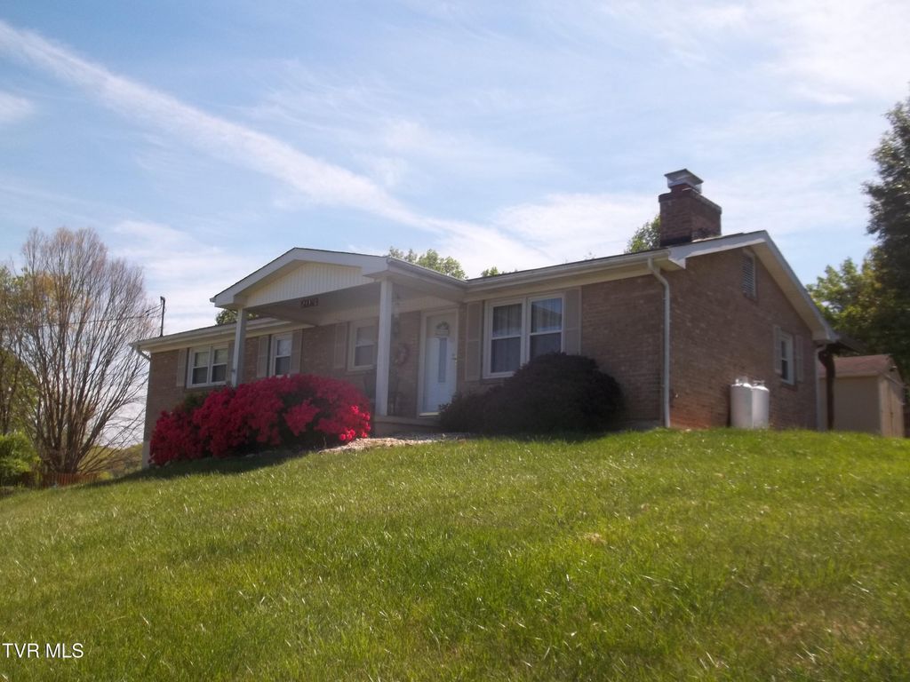 Photo of 24396 Briscoe Drive, Bristol, VA 24202 (MLS # 9994264)