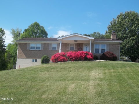Homes For Sale - 24396 Briscoe Drive<br/> Bristol, VA 24202