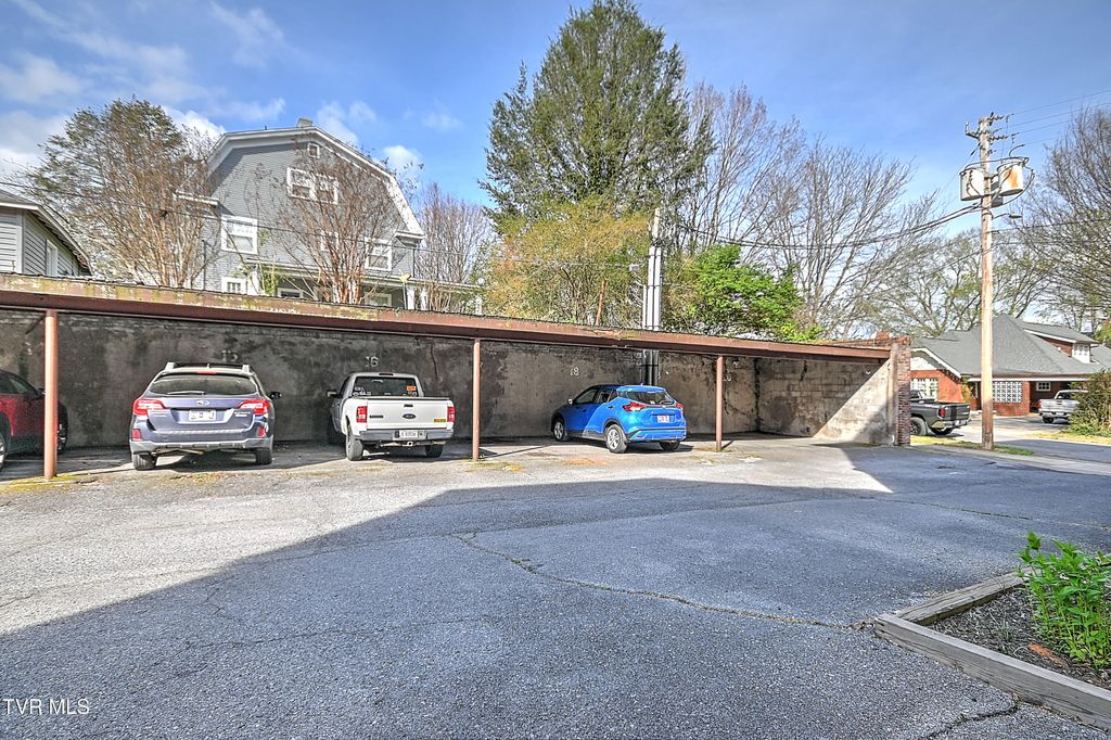 Photo of 701 Locust Street #Apt 18, Johnson City, TN 37604 (MLS # 9993316)