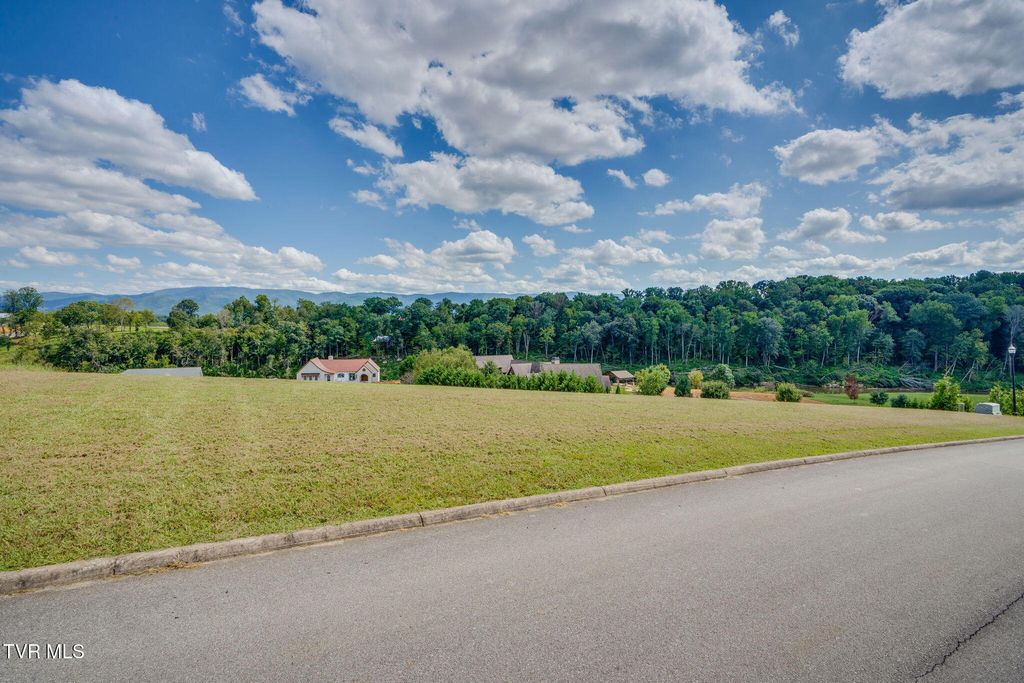 Photo of 43 Belle Arden Drive, Greeneville, TN 37745 (MLS # 9985091)
